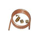 Jandy Laars Syphon Loop Assembly | R0057800