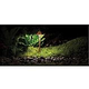 FX Luminaire PF 1 LED Path Light | Black Wrinkle | 24" Riser | PF1LED24RBF KIT
