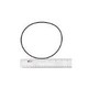 Waterways Executive Wet End Volute O-Ring | 805-0261