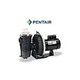 Pentair Waterfall Energy Efficient Pool Pump with Strainer | 115/230V AFP-120 | 340351
