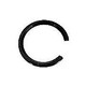Pentair Union Nut "C" Clip | 39104500