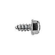 Pentair Flat Head Screw #14 SS 18-8 | 273071