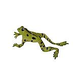 Artistry In Mosaics Leaping Frog | 6" x 11" | LFRGRES