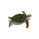 Artistry In Mosaics Sea Turtle Natural with Shadow Mosaic | Medium - 16" x 23" | SESNATRM