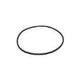 Pentair EQ Series Pump Lid O-Ring | 350166