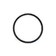Rainbow Chlorinator Lid O-Ring R172009 | O-283V-9