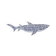 AquaStar Swim Designs Shark Pre-Filled Frame | F2010-01