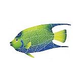 Artistry In Mosaics Queen Angel Fish Mosaic | Large - 11" x 17" | QAFYBLL