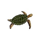Artistry In Mosaics Sea Turtle Natural Mosaic | Medium - 16" x 31" | SEANATRM