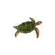 Artistry In Mosaics Sea Turtle Natural Mosaic | Small - 9" x 12" | SEANATRS