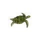 Artistry In Mosaics Sea Turtle Green Mosaic | Small - 9" x 12" | SEAGRERS