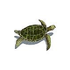 Artistry In Mosaics Sea Turtle Green with Shadow Mosaic | Medium - 16" x 23" | SESGRERM