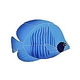 Artistry In Mosaics Tiger Tang Fish Mosaic | Blue - 5" x 8" | TTABLUS