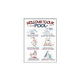 Fun Pool Rules Sign | 8976