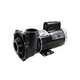 Waterway Executive 56 Frame | 4HP 2-Speed 2" Intake 2" Discharge 230V | 3721621-1D