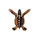 Porcelain Mosaic Turtle Brown | Baby A 5"x5" | PORC-ST20A-BR