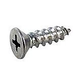 Pentair Screw | R172612