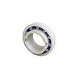 AquaStar Stealthstar Ball Bearings Wheels | P1005