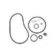 Seal & Gasket Kit for Sta-Rite Max-E-Pro Series Pool Pumps | GO-KIT79 APCK1185
