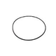 Jandy Backplate O-Ring | R0446300
