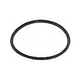 Pentair Large LTRO Flowmeter O-Ring | FLO