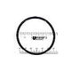 Pentair Strainer Pot Flange O-Ring | 355330