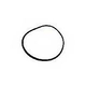 Waterway Plastics ProClean Cartridge Lid O-Ring | 805-0448