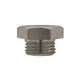 Pentair Berkeley Pipe Plug | 171P1180