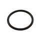 Waterco O-Ring for 2" Half Union | W02280