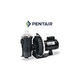 Pentair Challenger High Pressure Standard Efficiency Pool Pump | 115/230V 0.75HP Full Rated | 345203