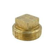 Raypak Unitherm Governor Plug | Brass | 013738F