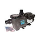 Waterway Power Defender 270 Variable Speed Pump 2.7HP 230V | PD-VSC270