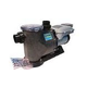 Waterway Power Defender 300SVL Variable Speed Pump 3HP 13.5AMP 230V | PD-VSA300