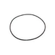 Waterco O-Ring for Trimline Lid | 62026