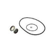 Hayward Seal Set | HCXP6004A