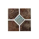 National Pool Tile Coral 6x6 Deco Tile | Brown | CRL-BROWN DECO GL