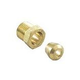 Raypak Adapter Nut | 011927F