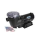 Waterway CSA Supreme 48-Frame .75HP Above Ground Pool Pump 115V 10.3 Amps | 25' NEMA Cord | PSPC1075-25