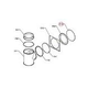 Raypak Flue Exhaust Cover Panel | 009713F
