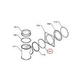 Raypak Flue Exhaust Tee Cap | 009705F
