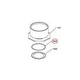 Raypak Flue Exhaust Gasket Retainer | 010033F