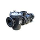 Waterco Hydrostar Plus 5HP Commercial High Performance Pump with Strainer | 3-Phase 208-230/460V | 24605006A
