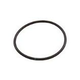 Waterway O-Ring 2 1/2" Union | 805-0232B | 805-0232