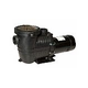 Blue Wave TidalWave 2-Speed  Above Ground Pool Pump | 1 HP with Cord | NE6181