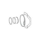 Raypak Flue Exhaust Adapter Assembly | 012282F