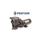 Pentair OptiFlo 1HP Vertical Discharge Above Ground Pool Pump with 25' Cord | 348197