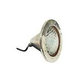 Halco Lighting Incandescent Pool Light Fixture | 120V 500W 50' Cord | FIWP-120-500-50