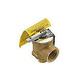 Hayward Relief Valve .75" Male | CHXRLV1930