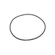 Waterco Strainer Lid O-Ring | 19B5051