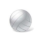 SR Smith Volleyball Ball with Needle | VBK-100V